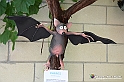 VBS_7041 - Mondo Babonzo